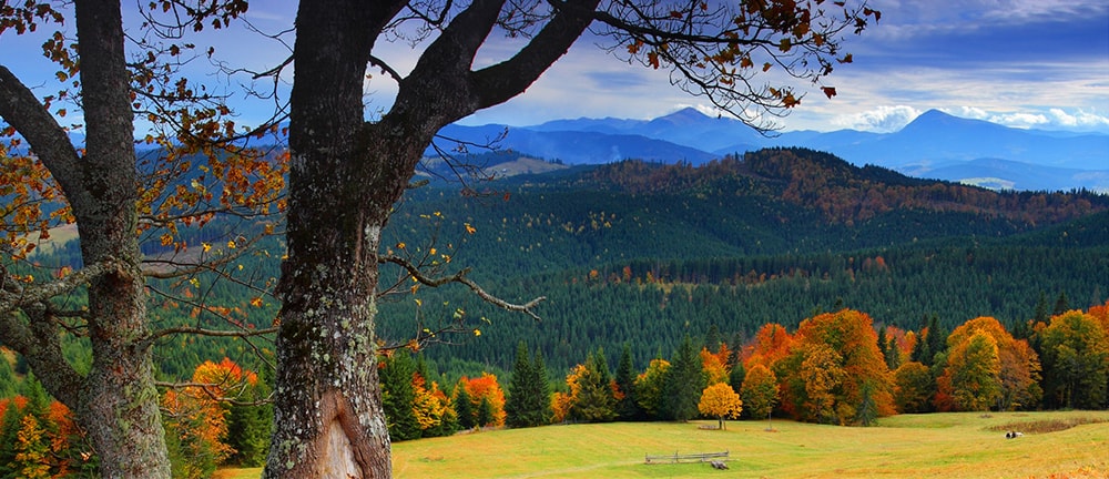 Mountain Ridge view in Autumn