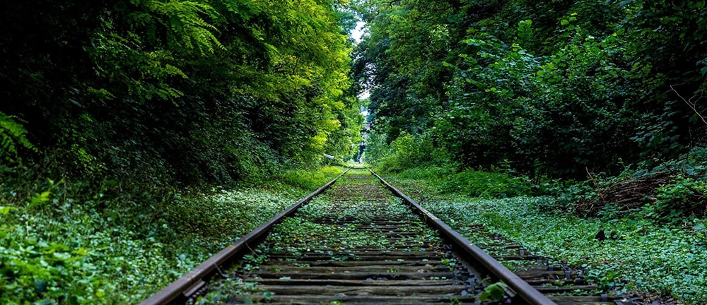 Railroad Tracks in the Woods